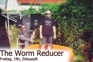 The Worm Reducer 