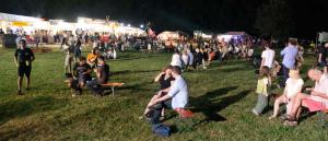 Entspannt auf der Wiese