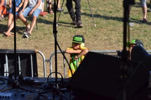 Stagediving Elephants