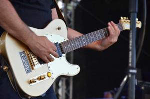 Stagediving Elephants