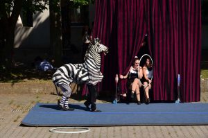 Circus Circuli & Circus Harmony