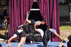 Circus Circuli & Circus Harmony