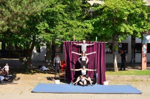 Circus Circuli & Circus Harmony