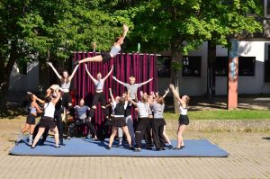 Circus Circuli & Circus Harmony