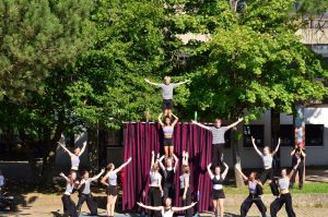 Circus Circuli & Circus Harmony